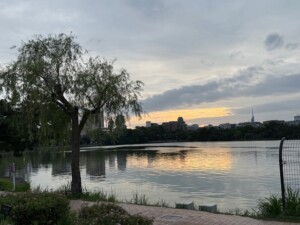 夕暮れの大濠公園